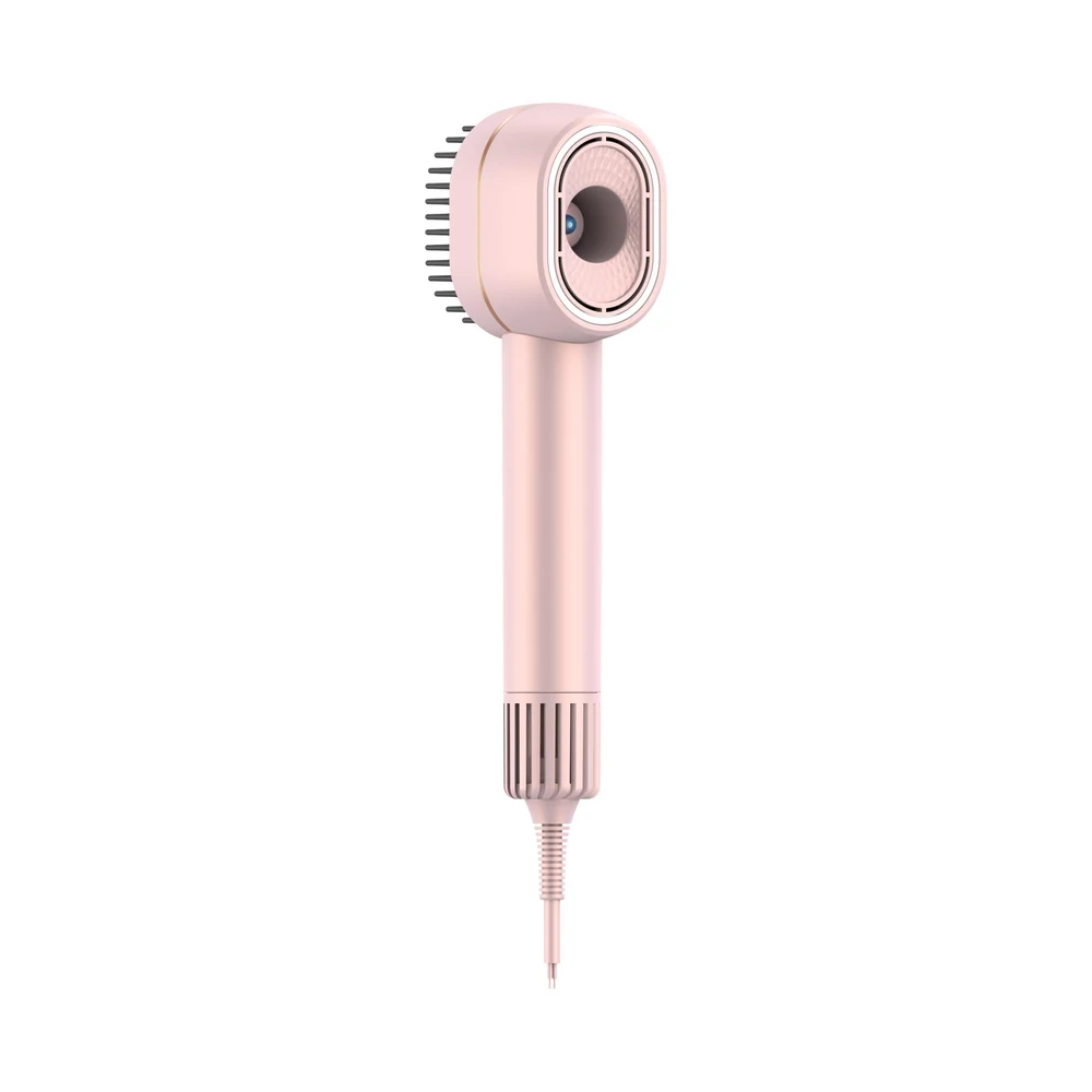 2-in-1 High-Speed Hot-Air Styler